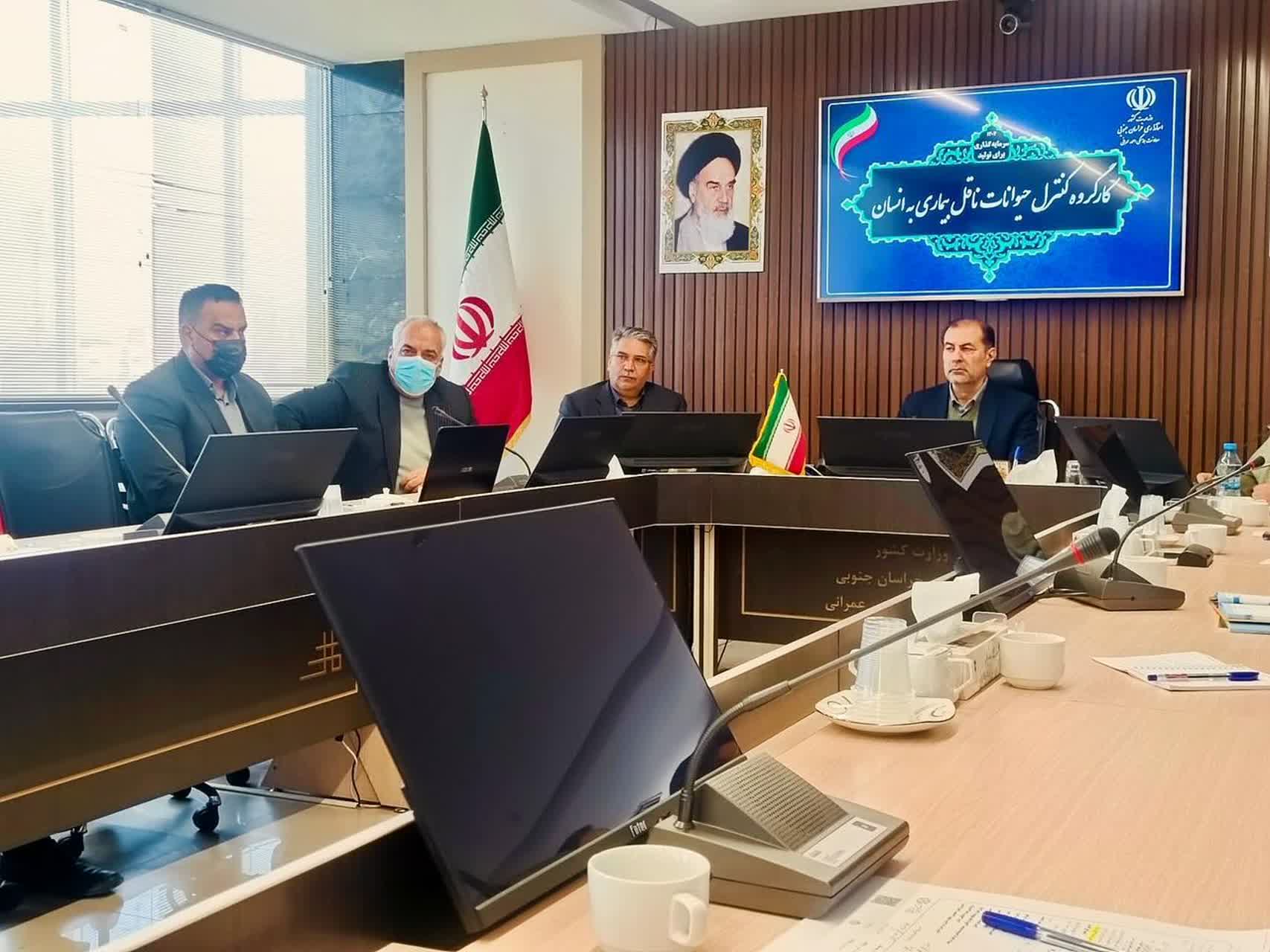 برگزاری جلسه کارگروه کنترل جمعیت حیوانات ناقل بیماری به انسان استان خراسان جنوبی